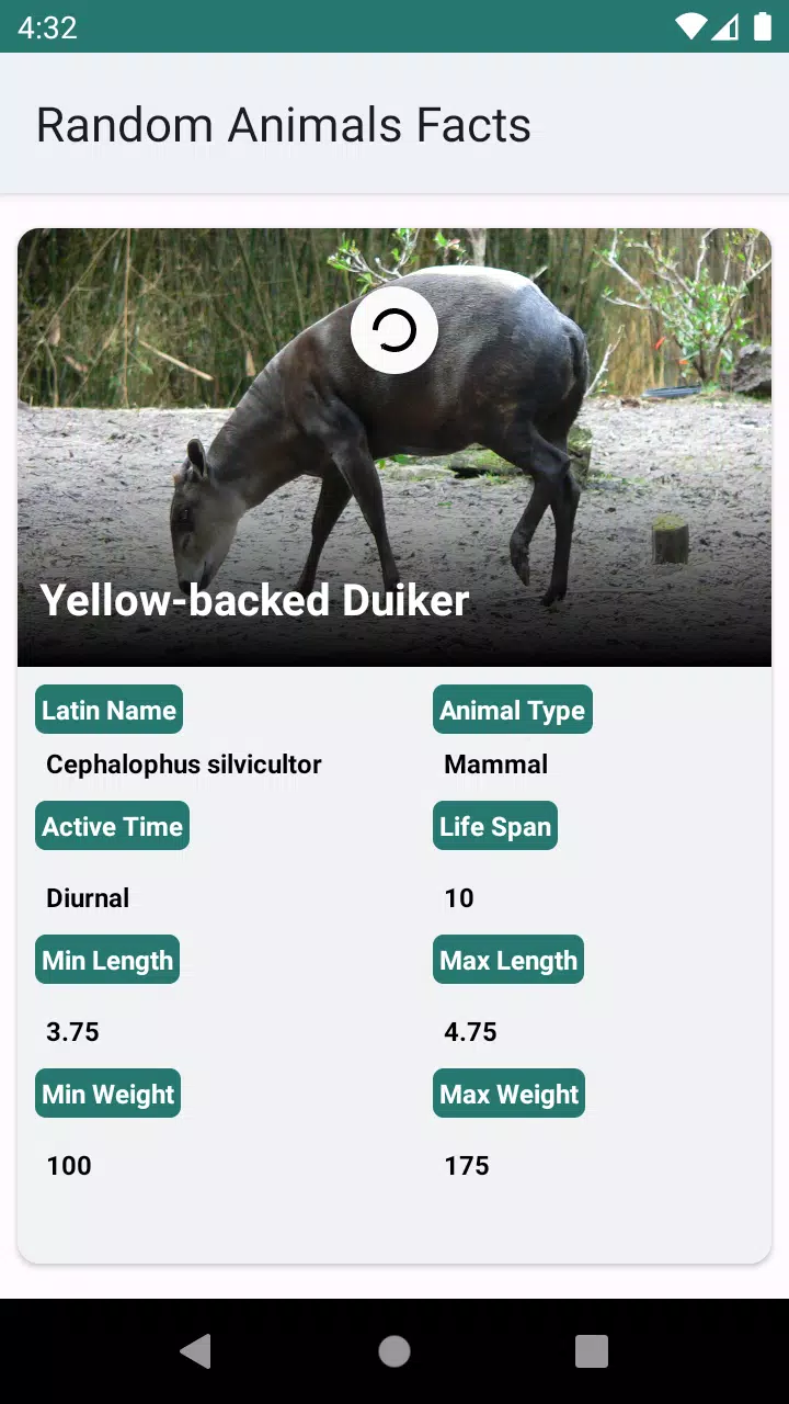 Random Animal Facts APK for Android Download Random Animal Facts APK for Android Download