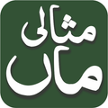 Misalee Maan - Urdu Arabic