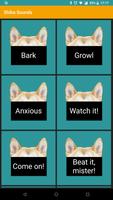 Shiba Sounds - Speak like a doge! Wow! 포스터