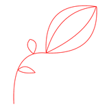 Créateur SVG - Lacis