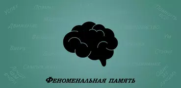Феноменальная память