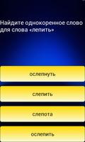 Тест по русскому языку capture d'écran 3