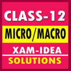 Class 12 micro or macro economic xamidea solution icône