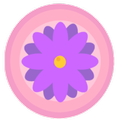 EvaFriend