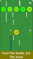 Snake And Block Games ภาพหน้าจอ 2