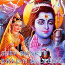 Shiv Bhakti Video Songs APK