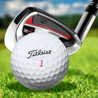 Putting Golf Master 3D - Pro Free Golf icône