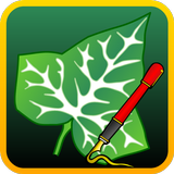 Ivy Draw simgesi