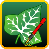 Ivy Draw أيقونة