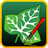 Ivy Draw icon