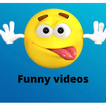 Funny Video - Comedy Video
