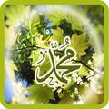 Sholawat Indah Merdu Mp3.