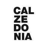 ”calzedonia official app