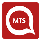 QMTS-Quad Money Tunnel Service icône