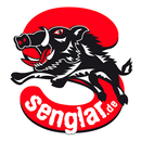 Senglar.de - Leichte Pedelecs APK