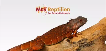 M&S Reptilien. Der Terraristik
