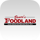 Bruce's Foodland icône