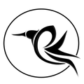 BigBirdIndia