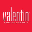 Valentin Coiffeur Coloriste APK