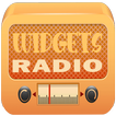 Widgets Radio