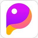 Paz do Vale FM APK
