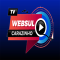Rádio TV Web Sul