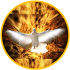 Web Radio Espírito Santo icon