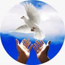APK Radio Igreja Pentecostal Exemplo dos Fieis
