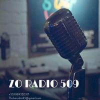 ZO RADIO 509 تصوير الشاشة 2