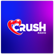 Radio Demo আইকন