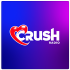 Radio Demo आइकन