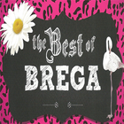 Brega Hits WebRadio 图标