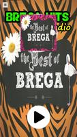 Brega Hits WebRadio 截图 1