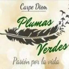 FM PLUMAS VERDES আইকন