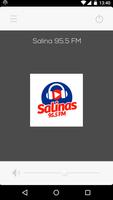 Salinas 95.5 FM imagem de tela 1