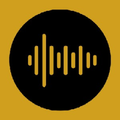 SWR Web Rádio