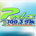 Perla 100.3 FM