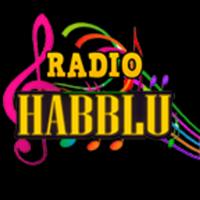 Radio habblu screenshot 3