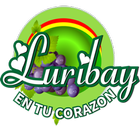 Radio TV Luribay icône