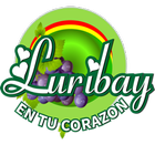 Radio TV Luribay icon