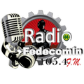 Radio Minera