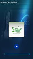 RADIO  PALMARES পোস্টার