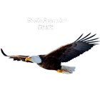 Rádio Provedor Recife 2019 icône