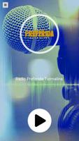 Rádio Preferida Turmalina MG Plakat