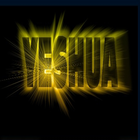 Web Rádio Yeshua Vive icône