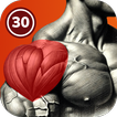Shoulder Workout At Home