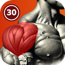 Shoulder Workout At Home APK