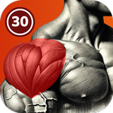 Shoulder Workout At Home ícone