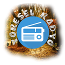 Yöresel Radyo Dinle-APK