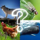 ZOO sounds quiz biểu tượng